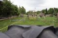 DSC01434