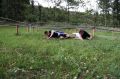 DSC01571