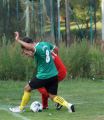 DSC02906
