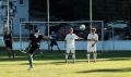 DSC03041