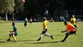 DSC03184