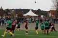 IMG_4553